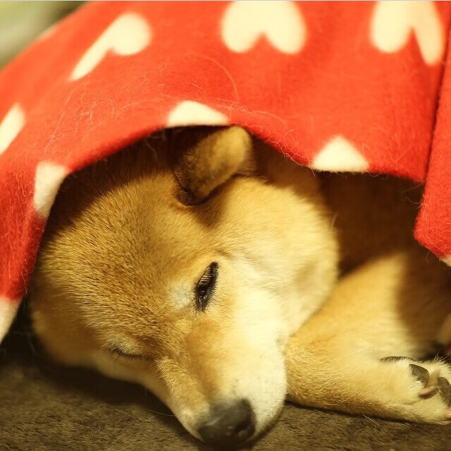 《数字化营销新策略:电竞赛事中的创意推广案例》,电竞 产业数字化 数字产业化