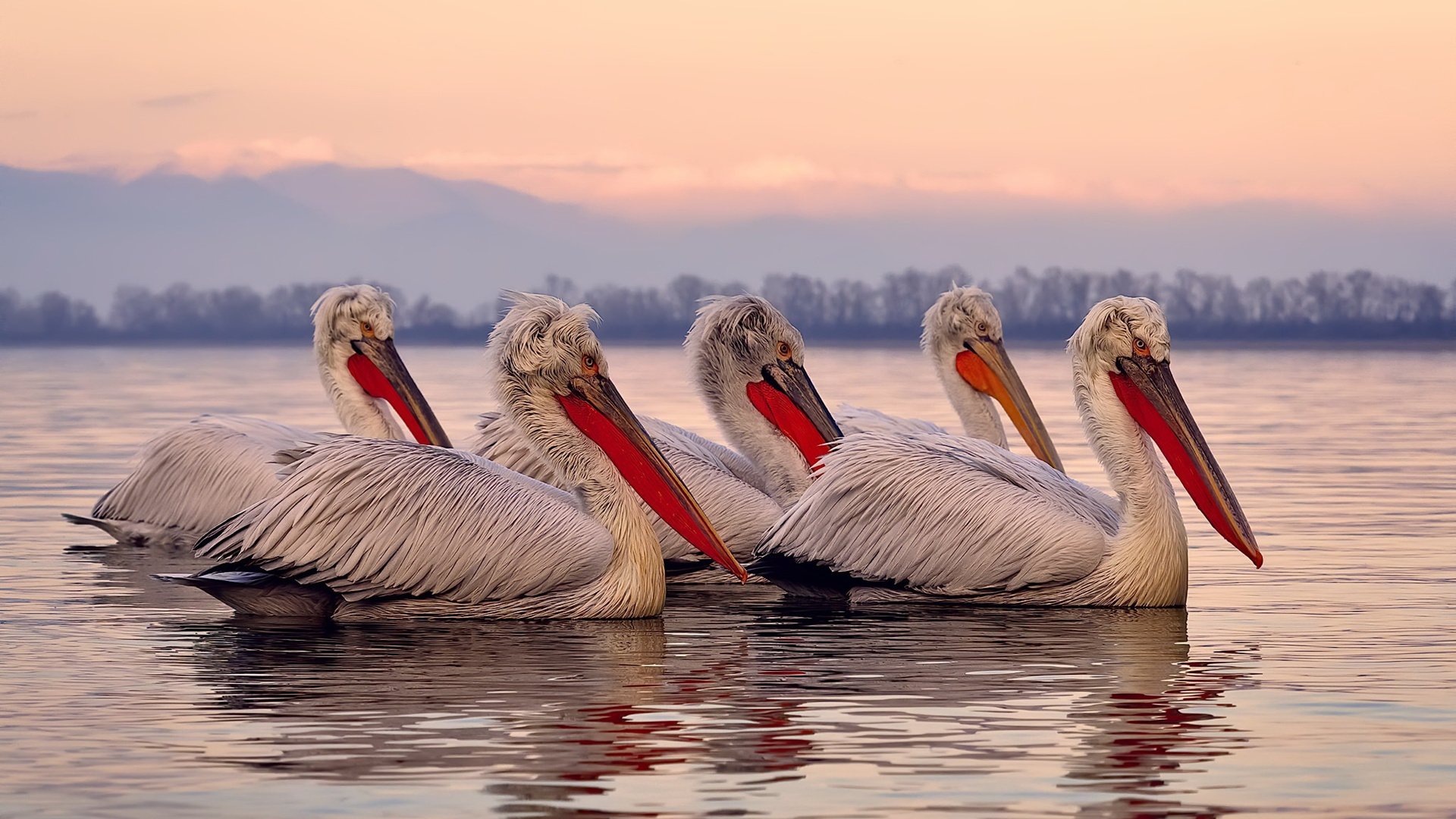 最佳助攻:精彩传球瞬间让人叹服,足球最佳助攻