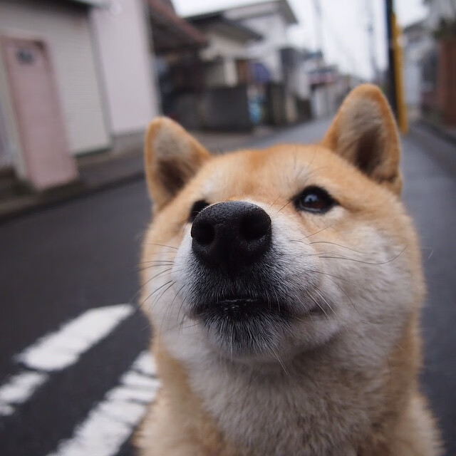 NBA总决赛东区决赛即将揭幕 巨头之争,nba总决赛是不是一直都是东部西部