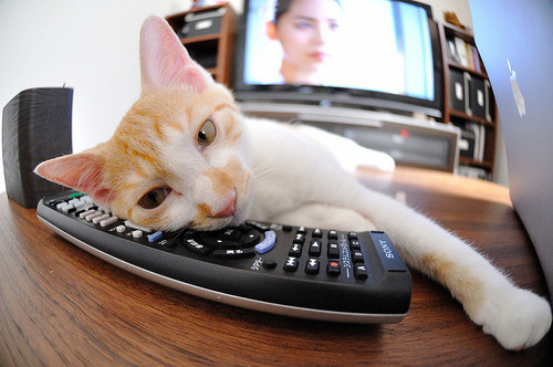 九游网页版官网-中国足球场地建设迎来新标准，中国足球场长宽