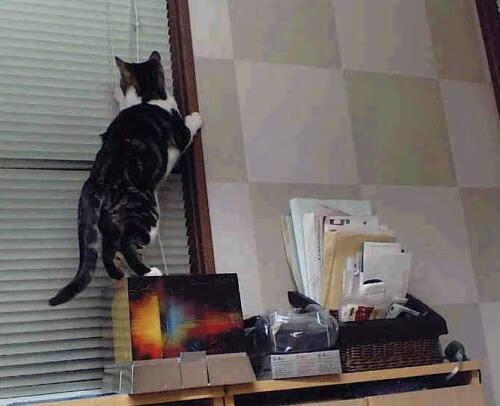 中国足球场地建设迎来新标准,中国足球场长宽