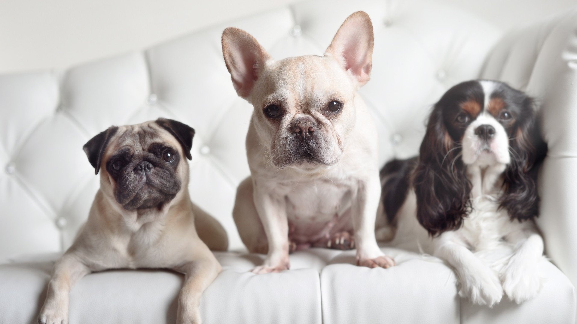 原州东浦新世代防守体系不断完善