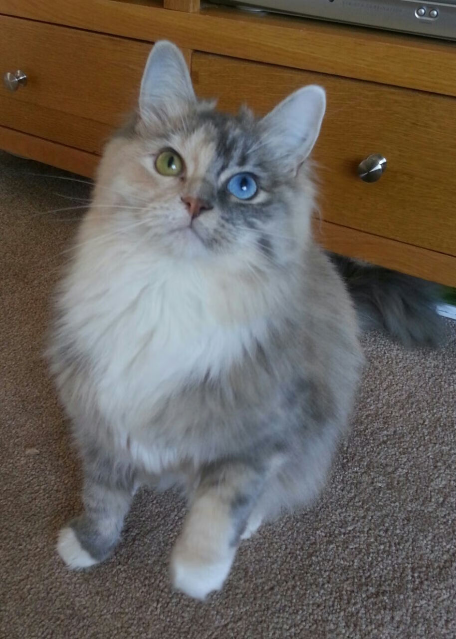 九游娱乐(jiuyou)官方网站-女子5000米世锦赛，中国选手跑出赛季最佳成绩，女子5000米世界纪录保持者