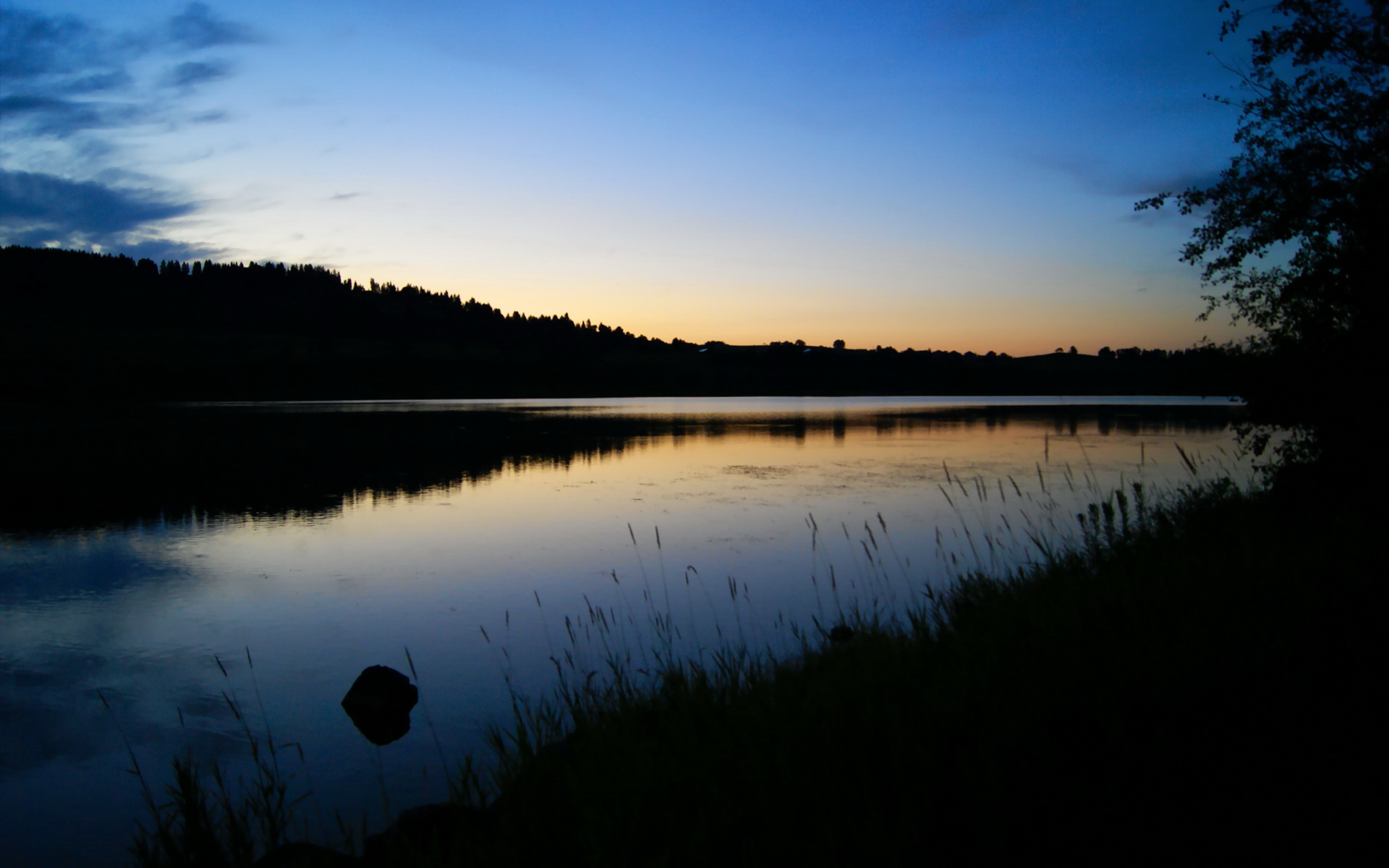 布莱顿主场迎战谢菲联,球迷期待悬念揭晓,布莱顿vs谢菲尔德聚胜顽球汇
