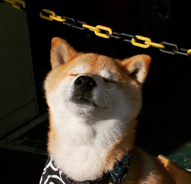 比赛垃圾时间是否应有管理机制，比赛前垃圾话