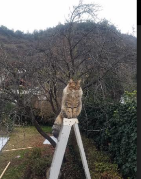 毕尔巴鄂竞技客场0-3不敌皇家马德里,遭遇失利,毕尔巴鄂竞技b队