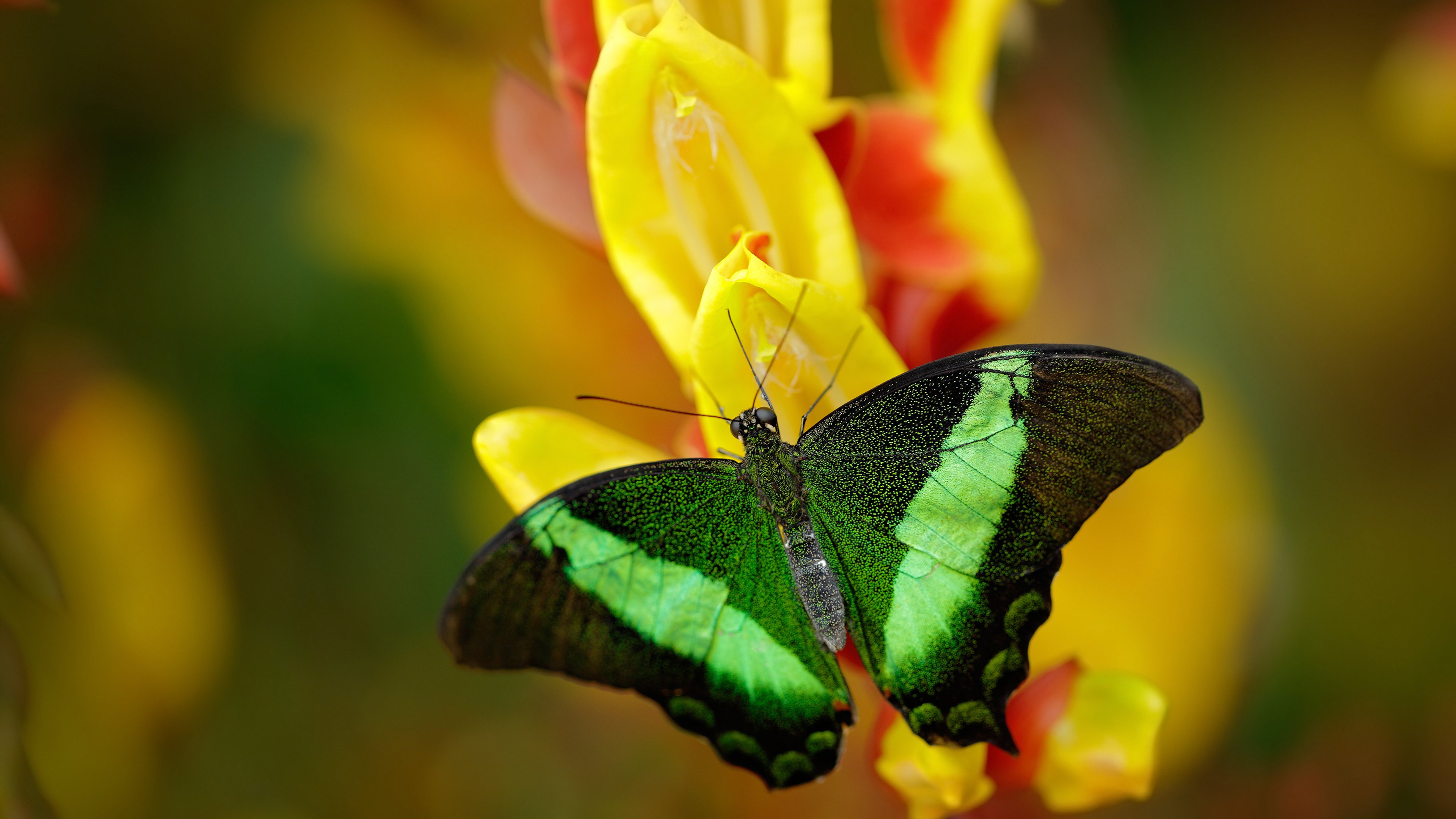 NBA球员赛季成长轨迹,nba球员赛季成长轨迹在哪看