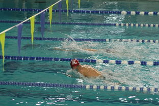 九游网-世界青少年游泳接力锦标赛中国队强势出击，世界游泳锦标赛接力决赛