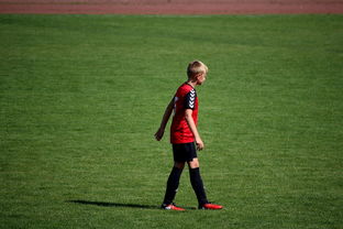 Jiuyou-世界青年滑板锦标赛中国少年夺奖，青少年滑板联赛