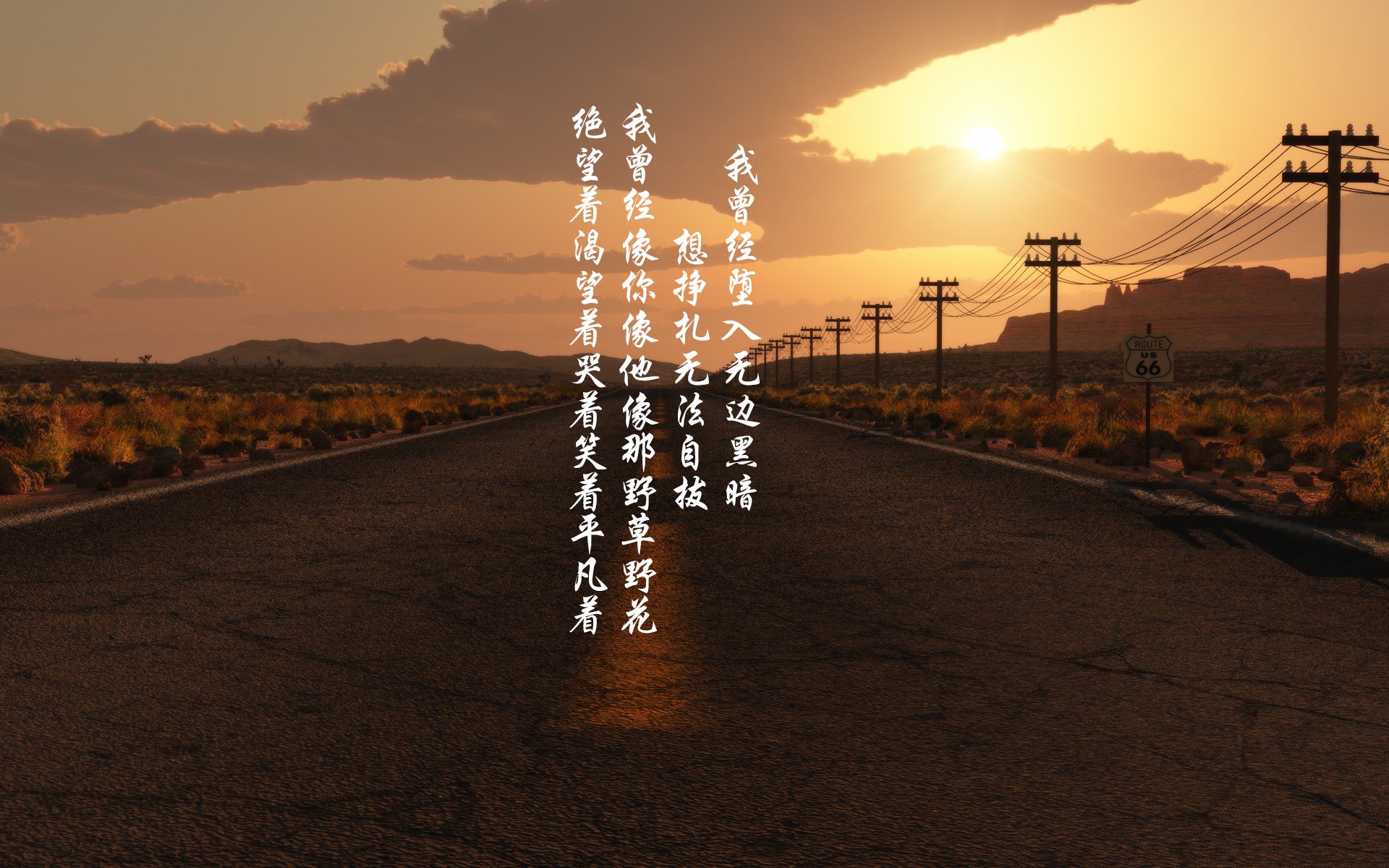 中国足球青训队伍教练更替频率数据,中国足球青训球员