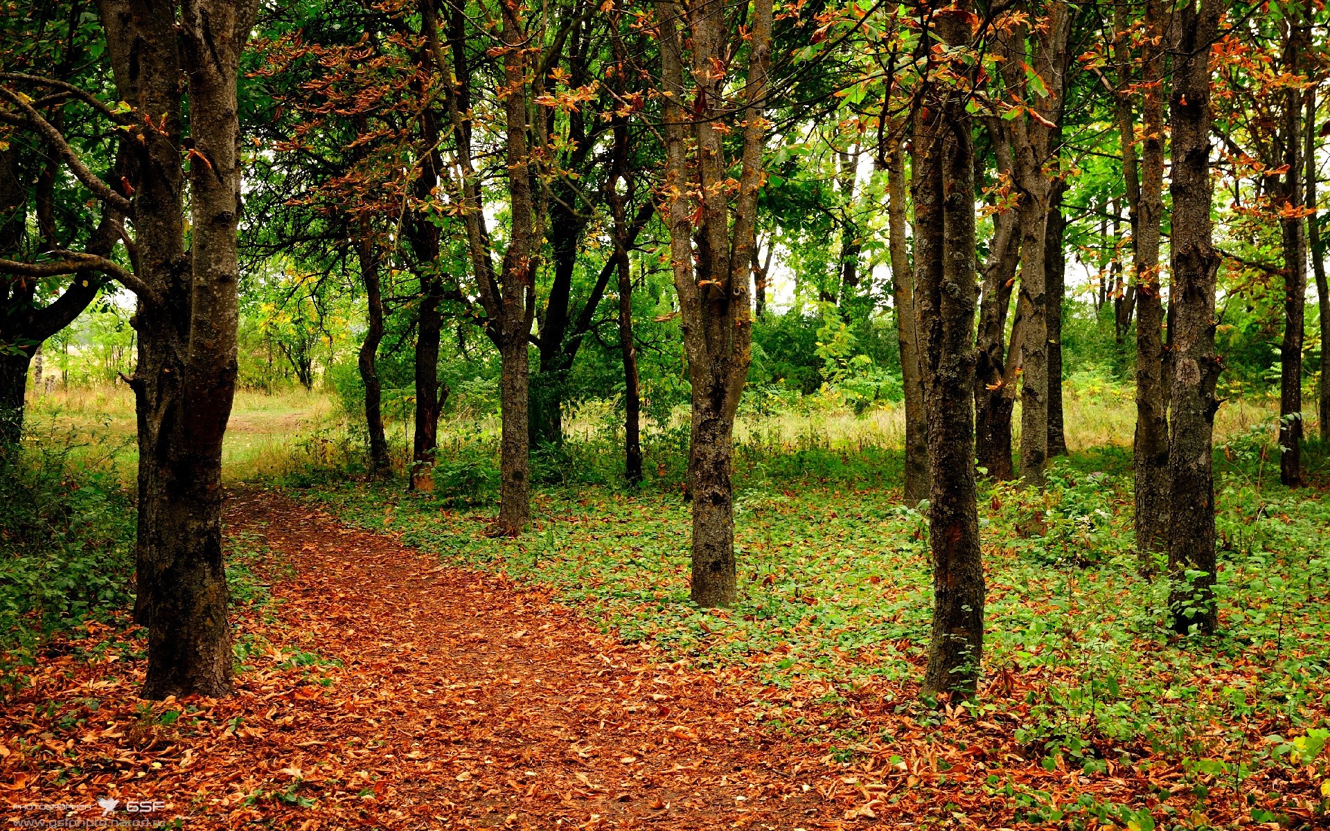 英超防守战术调整后拦截次数变化趋势分析，英超拦截榜