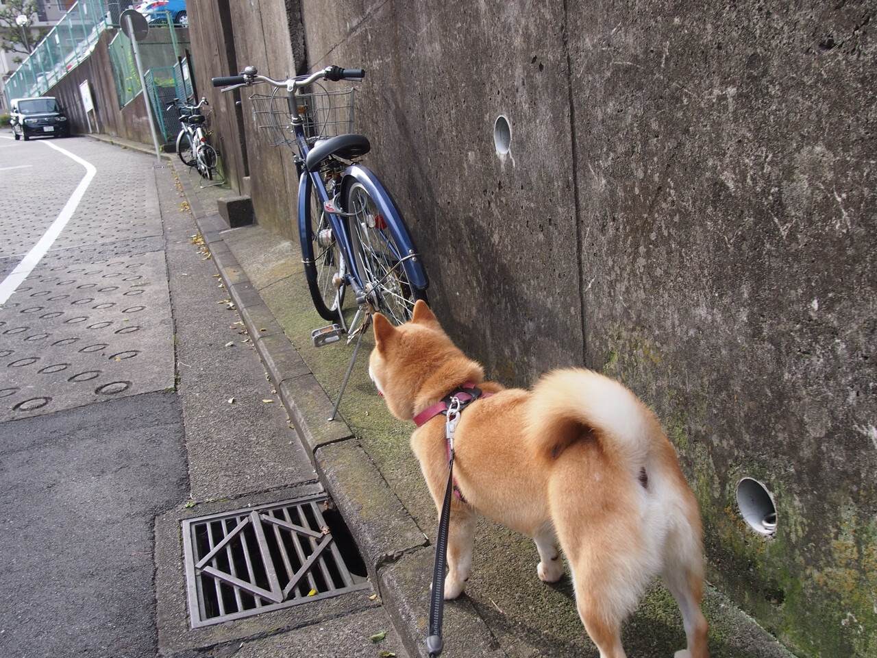 “沙滩合球新兴运动,天府新区挑战极限”
