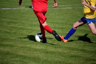 九游网页版官网-国家队与俱乐部之间协调机制为何不顺畅，国家队比赛和俱乐部比赛冲突