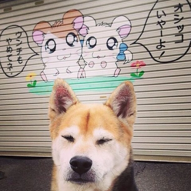 国际热身赛中国青年队爆冷 球迷反思训练方法，国家队热身赛