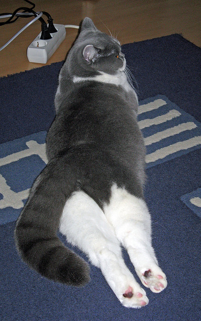 九游游戏中心官网-基层足球与地方教育系统脱节严重，基层足球与地方教育系统脱节严重吗