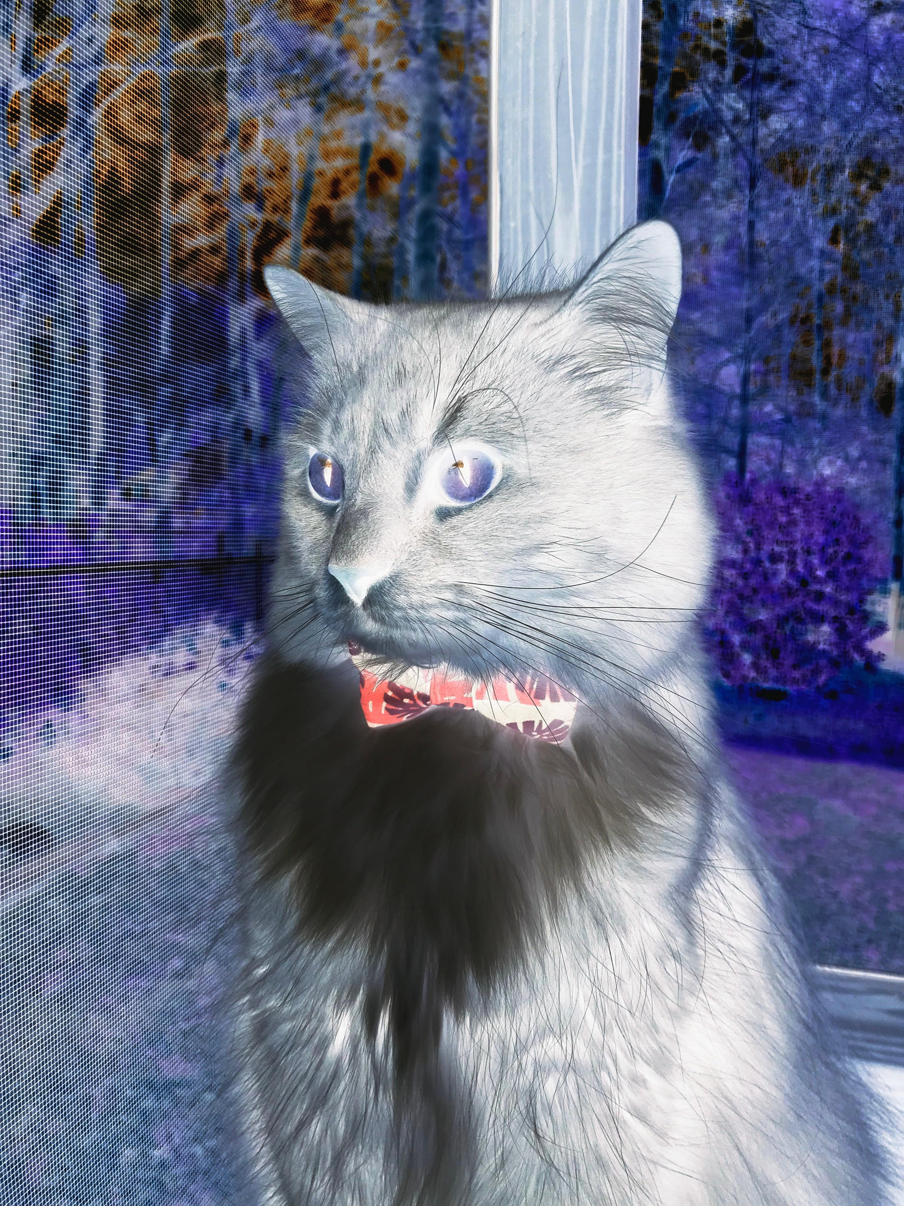 瑞典队乒乓战术：高效发球与接发球的巧妙配合，瑞典著名乒乓球有哪些选手