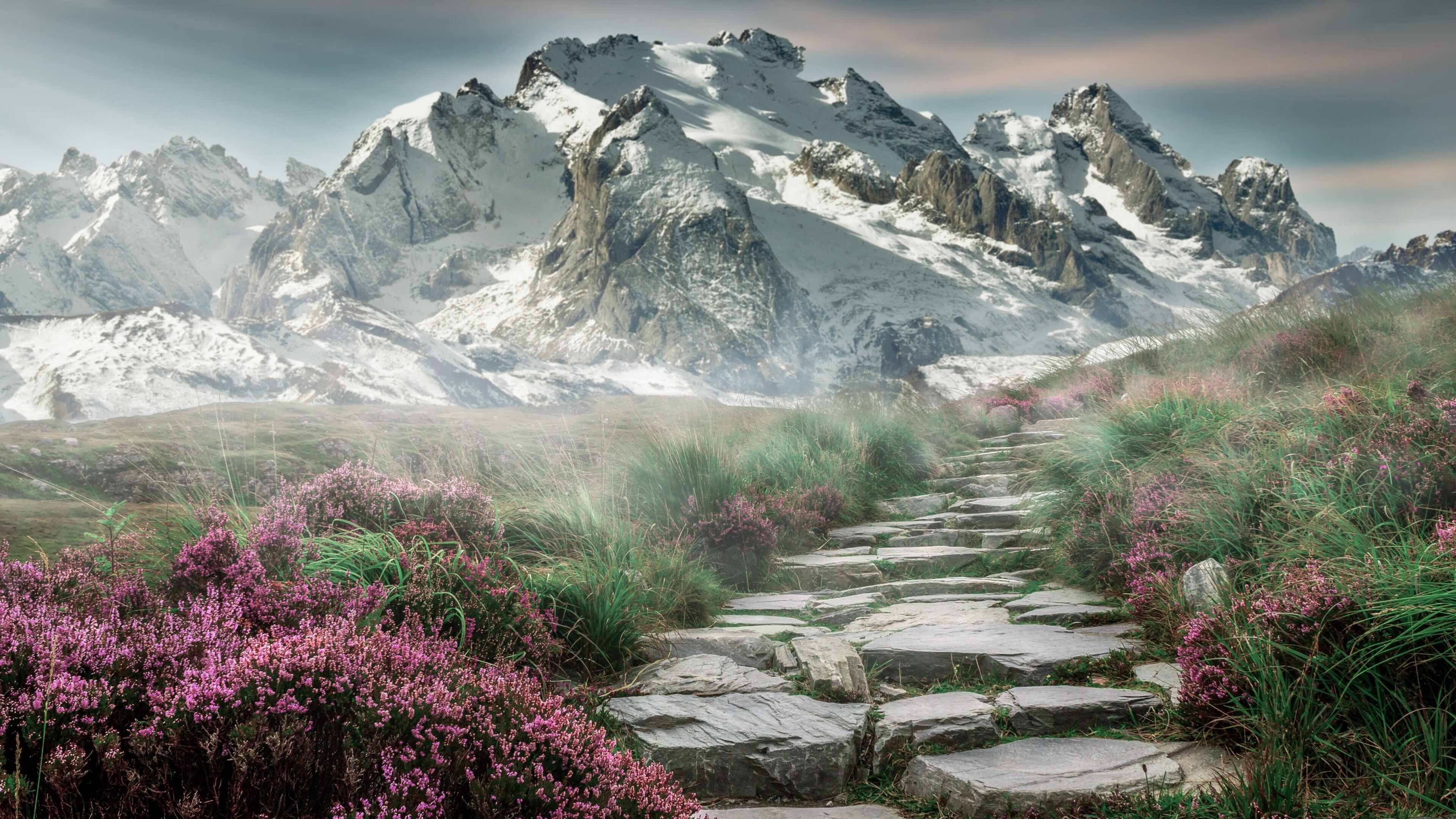 九游sports-篮下区域谁是绝对统治者，篮球比赛中蓝下区域联防的基本队形有