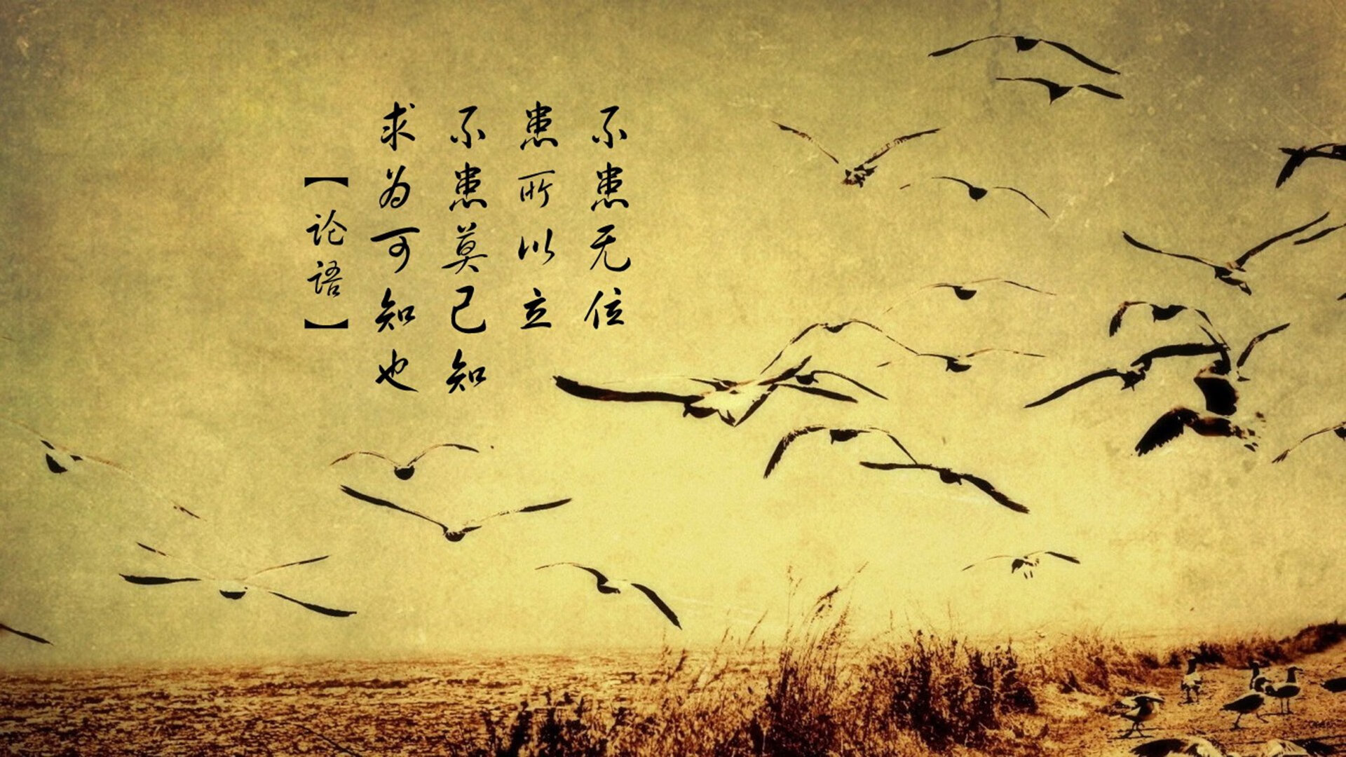 克洛普不断革新战术,带队追求最高荣誉